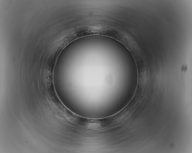 X0000113120653200908281439