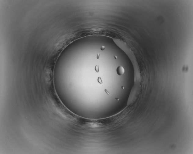 X0000113120654200908281439