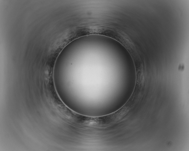 X0000113120655200908281439