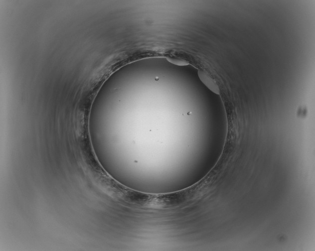 X0000113120656200908281439