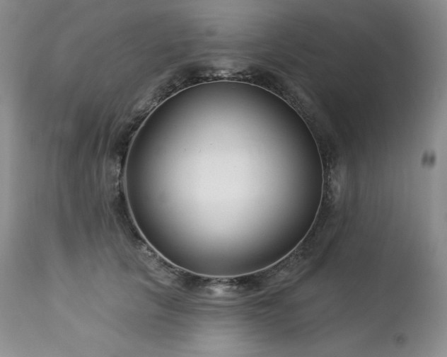 X0000113120657200908281439