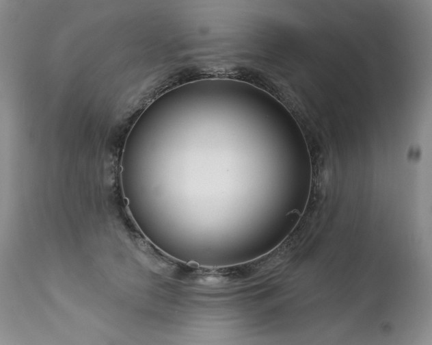 X0000113120658200908281439