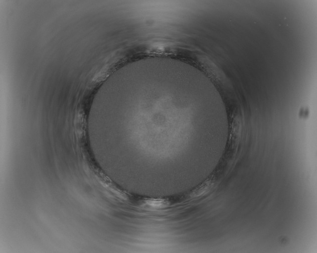 X0000113120659200908281439