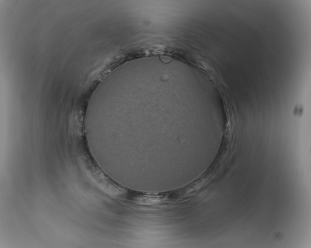 X0000113120661200908281439