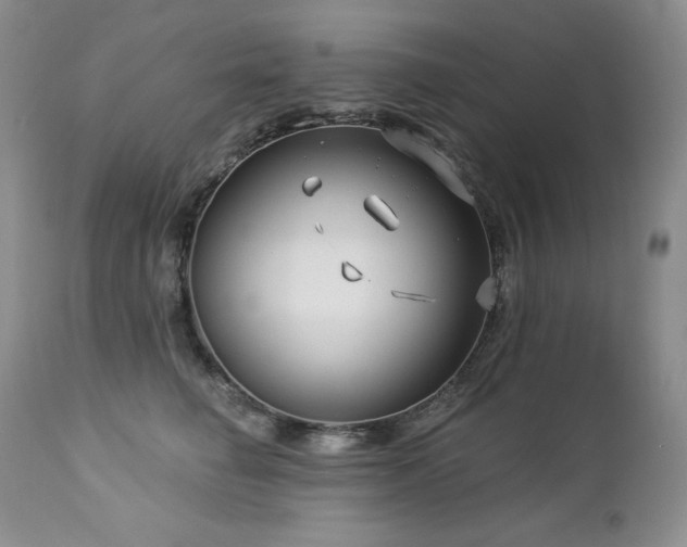 X0000113120662200908281439