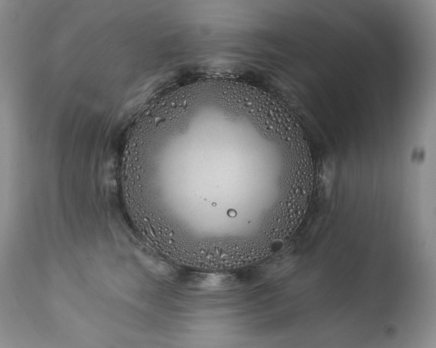 X0000113120663200908281439