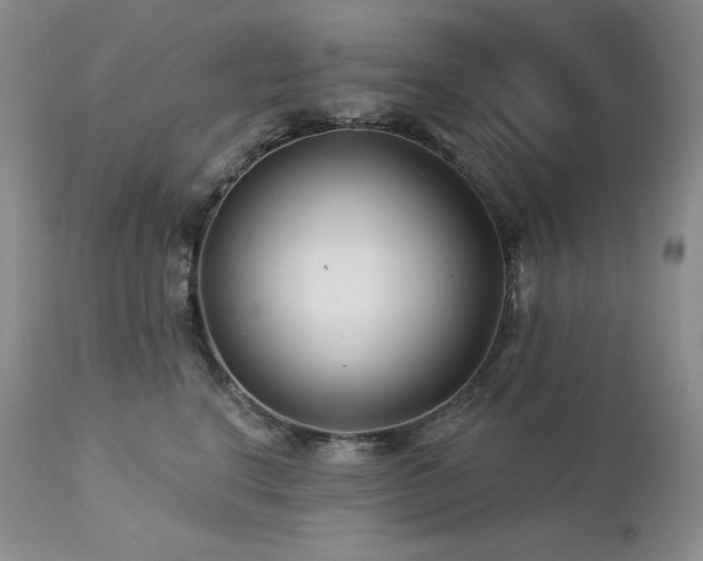 X0000113120664200908281439