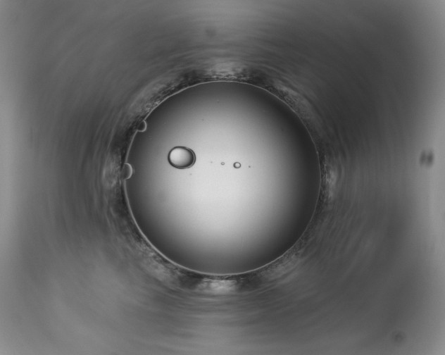 X0000113120665200908281439