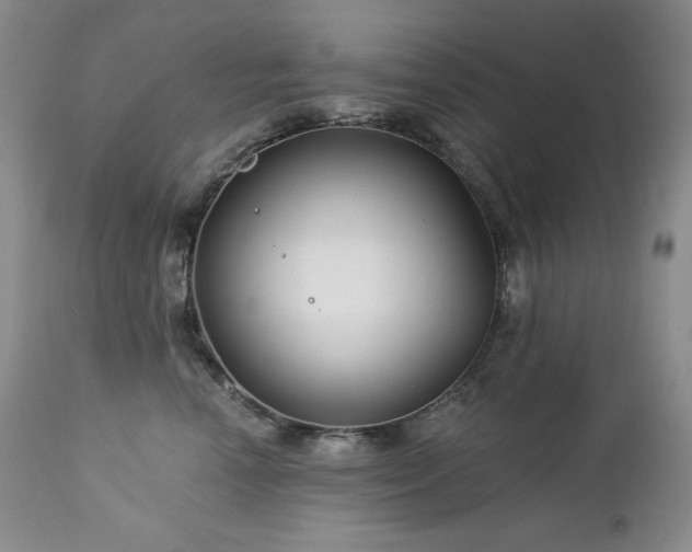 X0000113120666200908281439