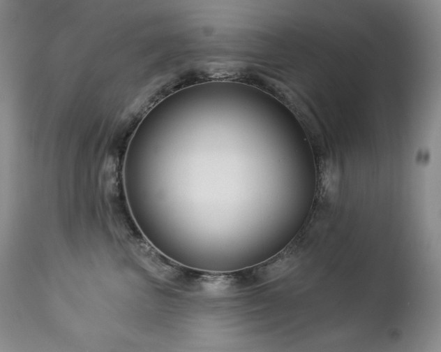 X0000113120667200908281439