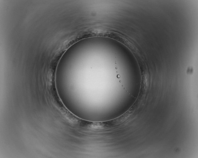 X0000113120668200908281439