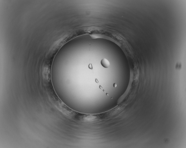 X0000113120669200908281439