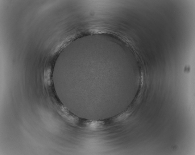 X0000113120670200908281439