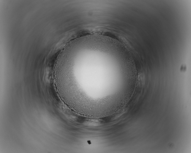 X0000113120671200908281439