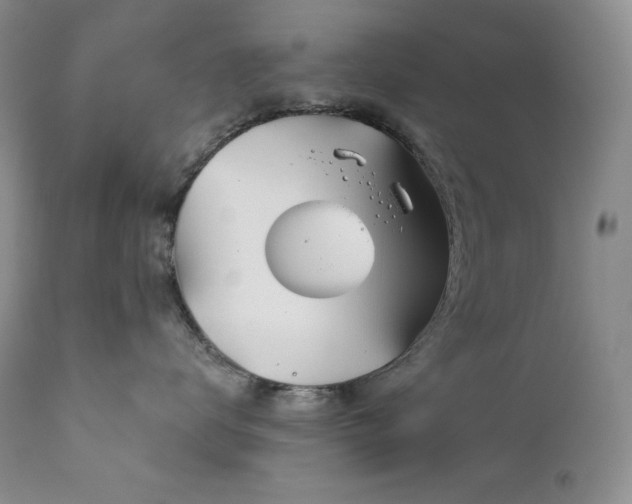 X0000113120672200908281439