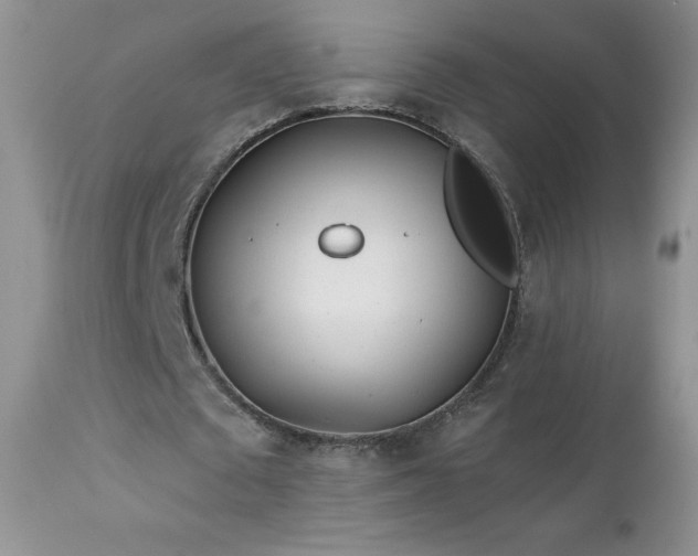 X0000113120673200908281438