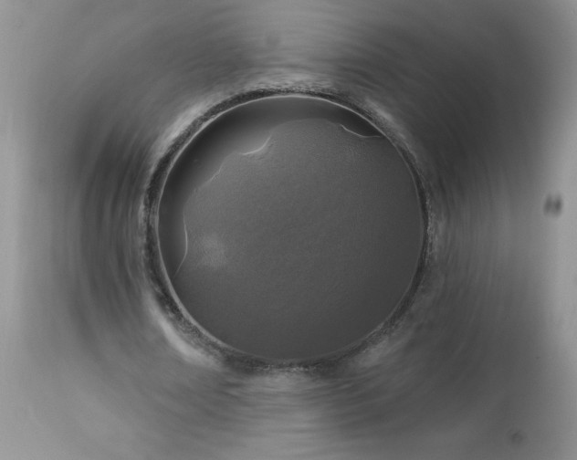 X0000113120674200908281438