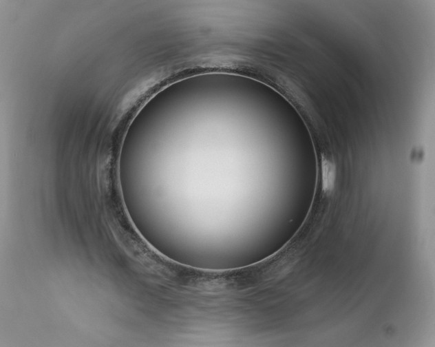 X0000113120675200908281438