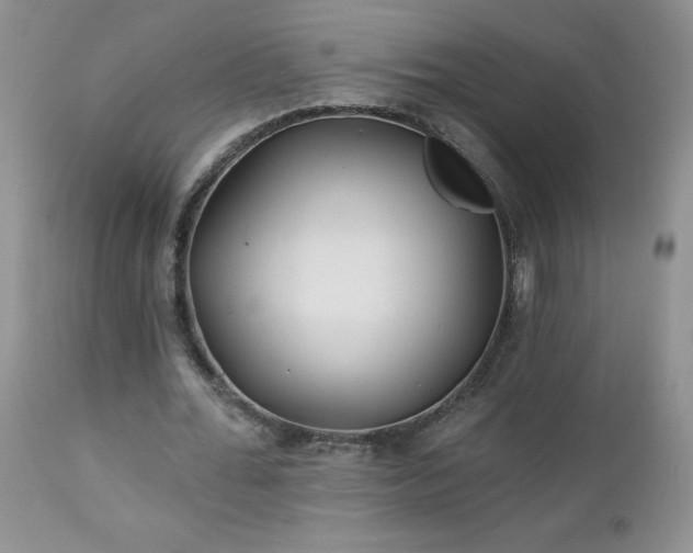 X0000113120676200908281438