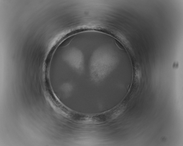 X0000113120678200908281438