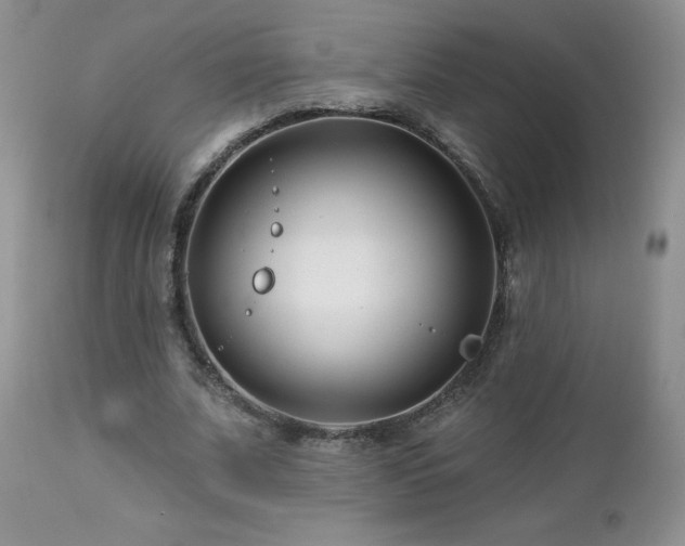 X0000113120679200908281438