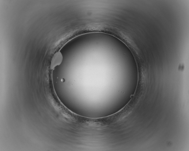 X0000113120681200908281438