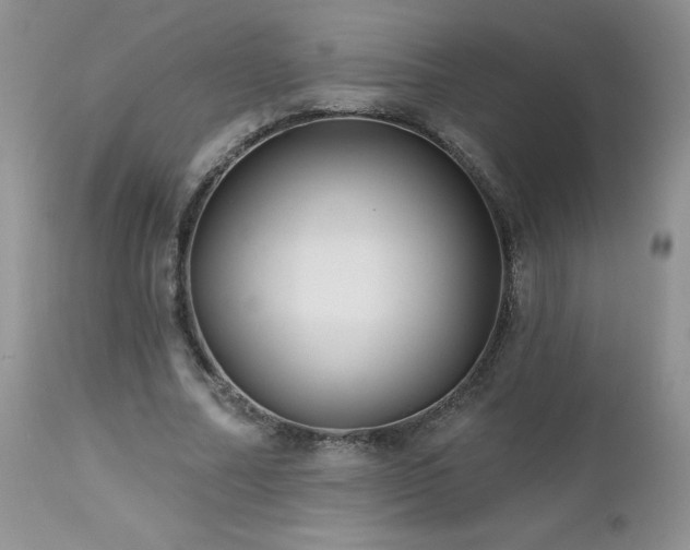 X0000113120682200908281438