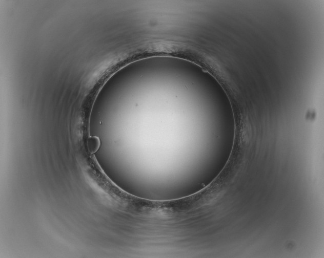 X0000113120683200908281438