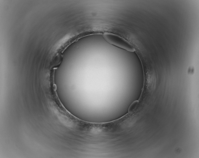 X0000113120684200908281438