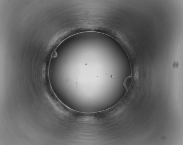 X0000113120685200908281438