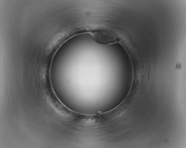 X0000113120687200908281438