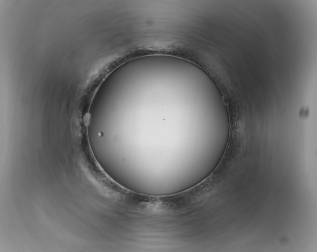 X0000113120688200908281438