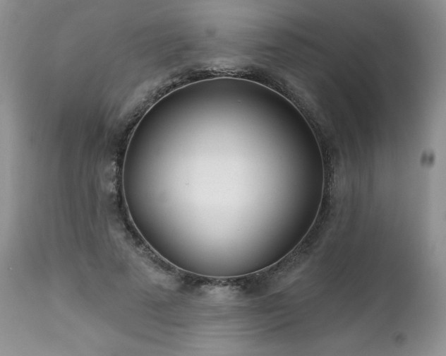 X0000113120689200908281438