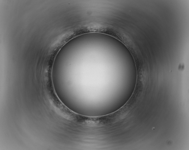 X0000113120690200908281438