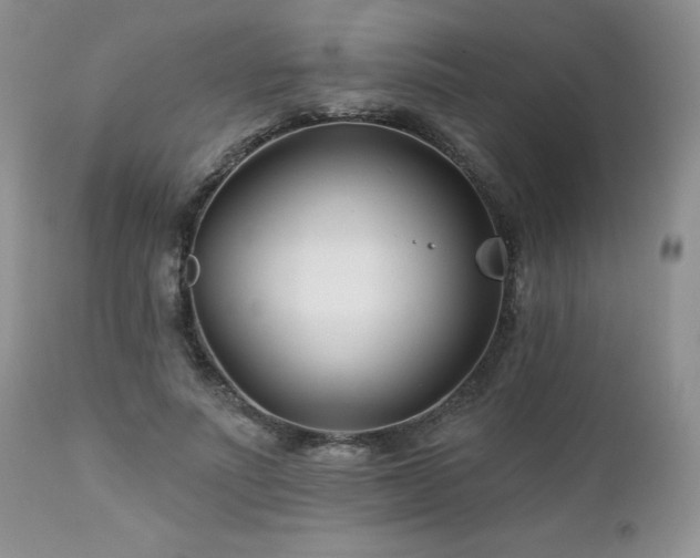 X0000113120691200908281438