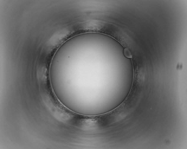 X0000113120692200908281438