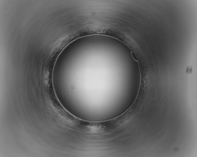 X0000113120693200908281438