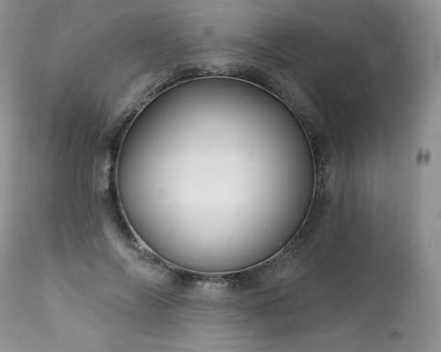 X0000113120694200908281438