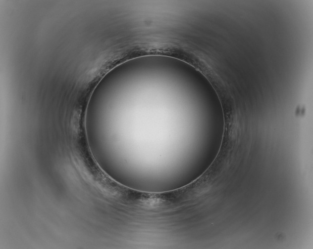 X0000113120695200908281438