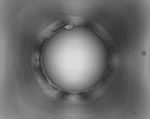 X0000113120696200908281438