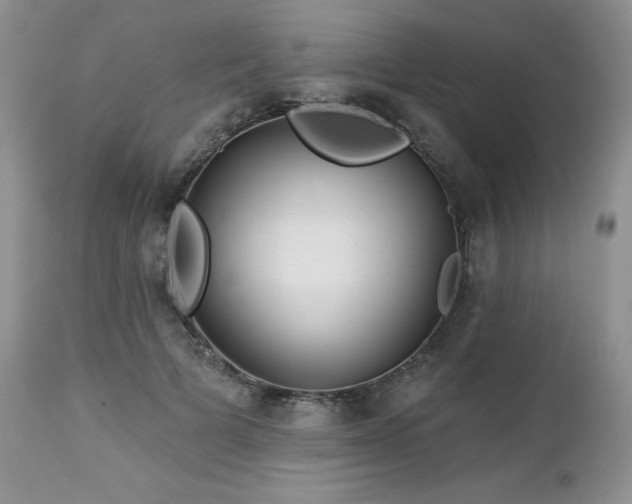 X0000113120697200908281438