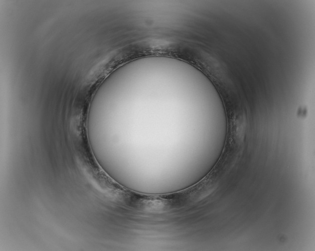 X0000113120698200908281438