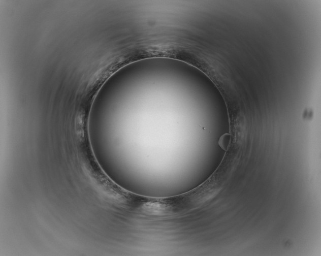 X0000113120699200908281438