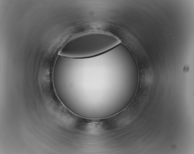 X0000113120700200908281438