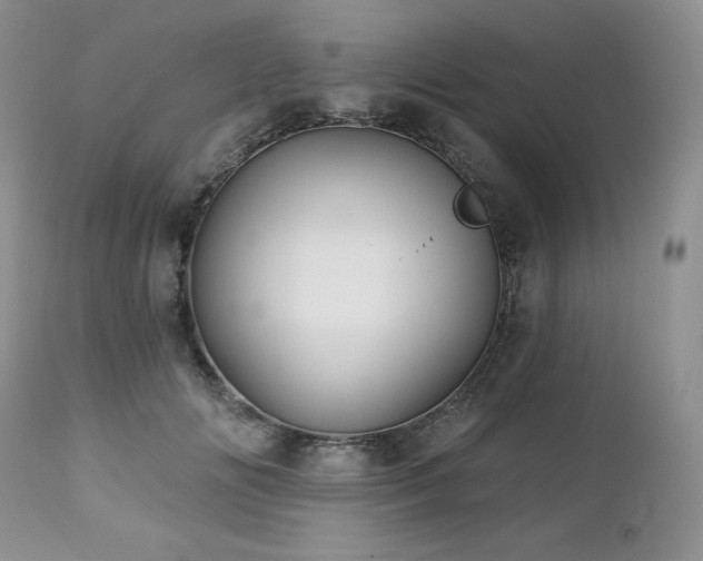 X0000113120702200908281438