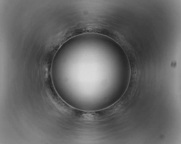 X0000113120703200908281438