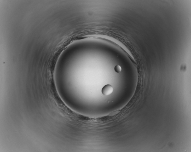 X0000113120704200908281438