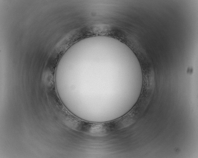 X0000113120705200908281438