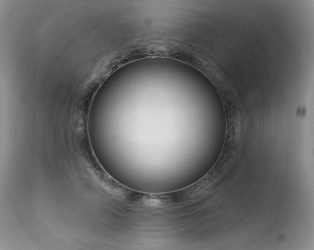 X0000113120706200908281438