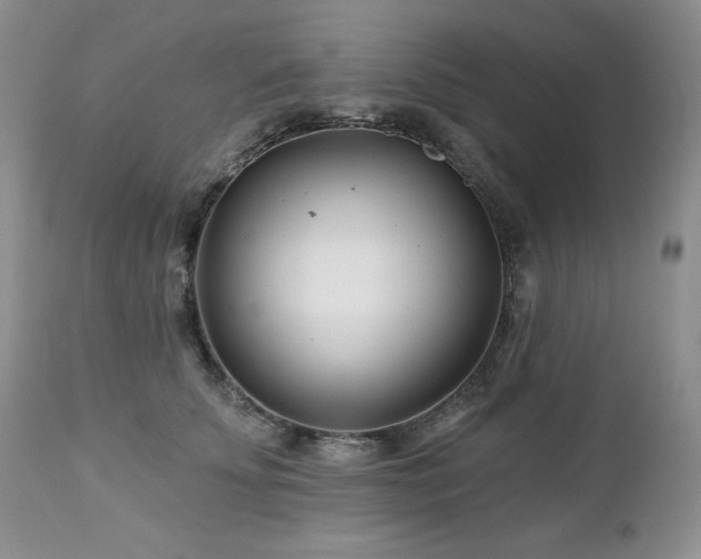 X0000113120707200908281438